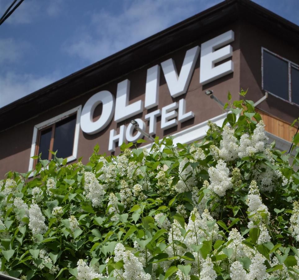 Отель Olive Hotel Bishkek Бишкек-6